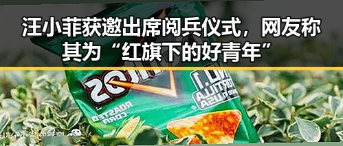 汪小菲获邀出席阅兵仪式，网友称其为“红旗下的好青年”